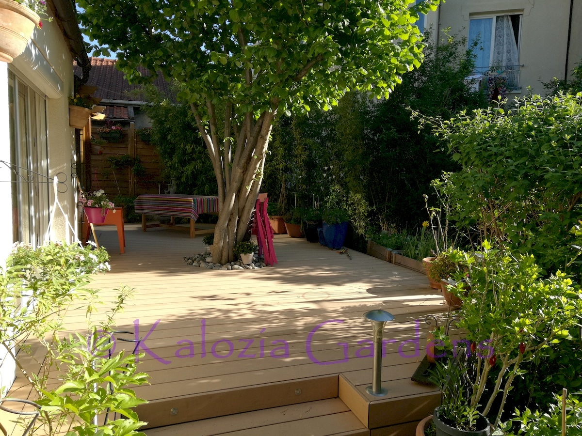 Terrasse salon — Photo de couverture